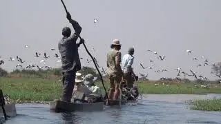 National Geographic - Okavango Wilderness Project Okavango Delta crossing 2018