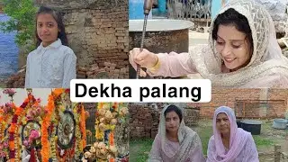 Ham Logo Ne Dekha Palang  Bhai Ne Karaya Langar #subscribe #viralvideo ##vlog