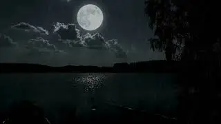 Moonlight Rain Over the Dark Forest and Lake Soothing Ambience for Sleep 3 Hours