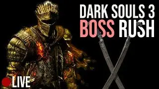 Dark Souls 3: Boss Rush mit Twin Blades