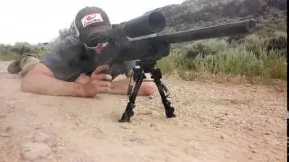 Mossberg MVP Flex