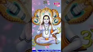 LIVE Baba Balaknath Ji da Gungan 🔴 Satguru Satnaam Dass Ji🔴 -2024 🔴 Nasib Mu