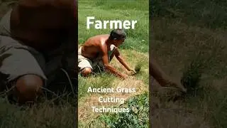 Clever Grass Trimmer Hacks & DIY Tips #shorts #diy #tips