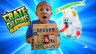 Blizz-Crate Creatures Surprise- EE cool Toys Review