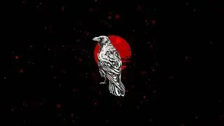 [FREE] Freestyle Type Beat 