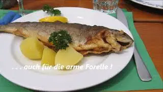 Sihlbrugg - Sihlmatt  - Menzingen /// 18. April 2020