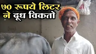 70 रुपये लिटरने दूध विकतो
