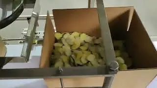 carton index filling system/automatic filling system with weigher/belt conveyor/box shaking