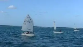 Optimist A & G Training Rabbit 2017 St Croix USVI