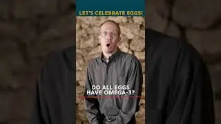 Do All Eggs Have Omega-3 - Nature's Yoke