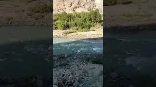 Ghizer beauty