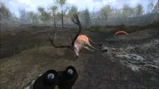 The Hunter 2013 PC Muzzleloader red deer bull