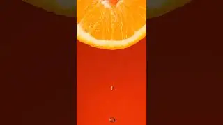 orange slice on an orange background 4k