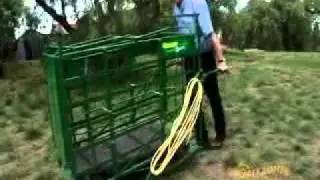Ruddweigh Gallagher Sheep weigh crate demo