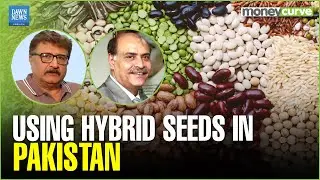 Can Hybrid Tech Save Pakistan&rsquo;s Agriculture? | Nasir Jamal | Shahzad Malik | Dawn News English