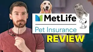 MetLife Pet Insurance Review |&nbsp;Claims & Coverage (2026 Verdict)