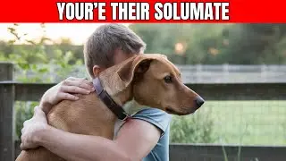 9 Signs Your Dog Thinks You&rsquo;re Their SOULMATE
