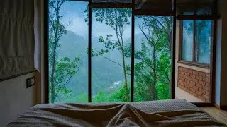 Gentle Rain on Window 🌧️ 4 Hours of Peaceful Sleep Sounds