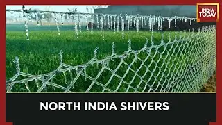 Delhi Shivers At 2.4&deg;c As Cold Wave Makes A Comeback, Expect Relief From January 19