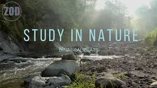 Gamma Waves | Improve Your Memory Skills | Binaural Beats 2021