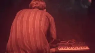 Tomutonttu live at Flow Festival 2010