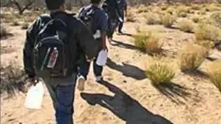 REFORESTANDO M&Eacute;XICO