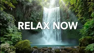 LIVE 🌿 Calm Mind Music | Gentle Piano & Natural Water Sounds for Relaxation