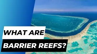What are Barrier Reefs? - EXPLAINED!