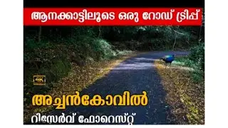 കല്ലേലി ⏭️🚗 അച്ചൻകോവിൽ റിസർവ് വനം#forest#kerala#automobile#travel#trending#family#trend#explore#sub
