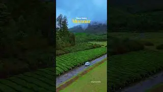 Kashmir of kerala |  Silent Valley in Munnar kerala #kashmir #shortsvideo #munnar