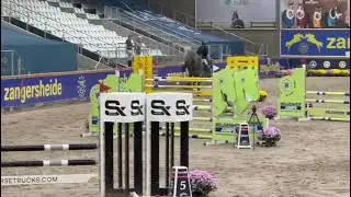 260102a Napoleon 2021 stallion by Nixon