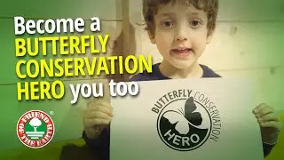Save the Butterflies 2 - Conservation Project | Friend of the Earth | by Hesmart Design Studio