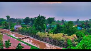 pattoki nursery beautiful seen _🌳🌳🌴🌴🌲🌲