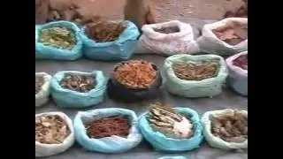 Life of Baiga - Indian Tribe - Madhya Pradesh
