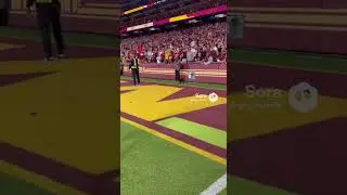 Black Cat Scoring a Touchdown on the Commander&rsquo;s AI Game.