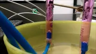 Water Splitting Experiment