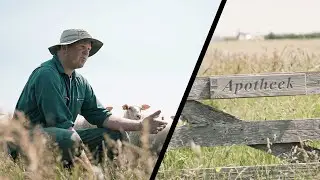Dit maakt Texels lamsvlees zo bijzonder