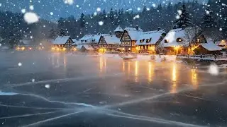 🎄 Deep Calm Lofi Harp Music for Winter Study, Focus and Healing Relaxation