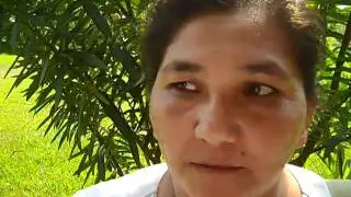 Productora de Nuez Maya (Brosimum alicastrum, Maya Nut) de Honduras