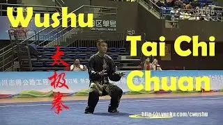 Campeonato Wushu 2016 – tài jí quán (太极拳)   – Masculino – chén wěi jié (陈伟杰)
