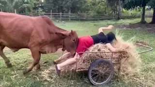 You Won&rsquo;t Believe These Incredible Moments Caught on Camera 😱 | Shocking Real Footage