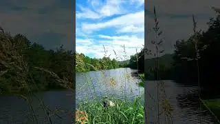 GONE WITH THE WIND - LAISSER LE VENT EMPORTER TOUT #nature #vlog #aupluspresdesoi