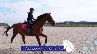 Tes rijdt 2 paarden * Hart voor Paarden *