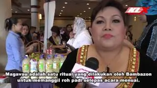 ''Magavau' ritual memanggil roh padi bagi etnik KDM.