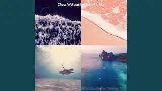 Calm Music for Unwinding Moments