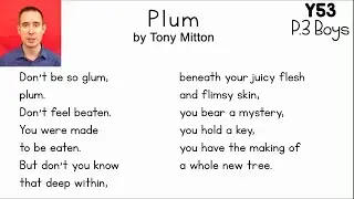 Plum by Tony Mitton - P.3 Boys