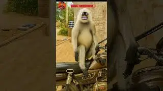 dogesh भाई के पीछे पुलिस😄🤣 #Thetharjaanwar #shorts #comedy #funny #viralshots #Thetharpuns