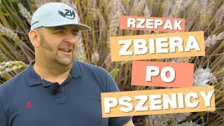 Rzepak zbiera po pszenicy! Dlaczego fatalnie gospodarujemy wodą? Robert Szymczak | e-pole