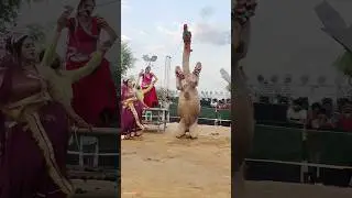 camel dance ##viralvideo ##amazingdance ##viraldance ##cameldance ##dance
