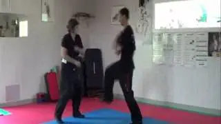 KARATE DEFENSE SYSTEM - N&deg; 2